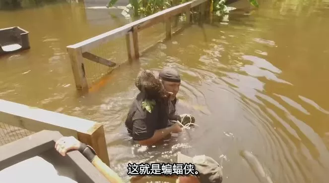 QQ截图20250112200037.jpg