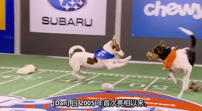 QQ截图20250112195922.jpg