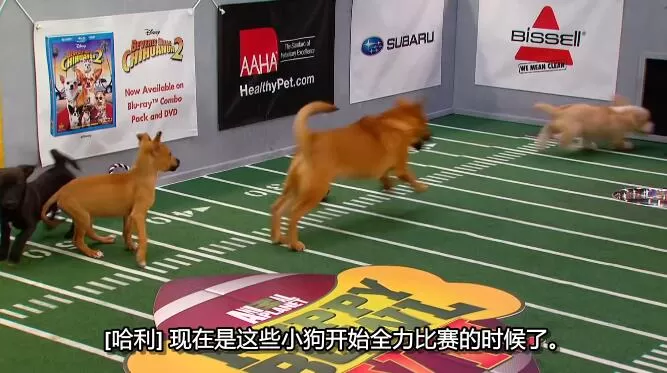 QQ截图20250112195935.jpg
