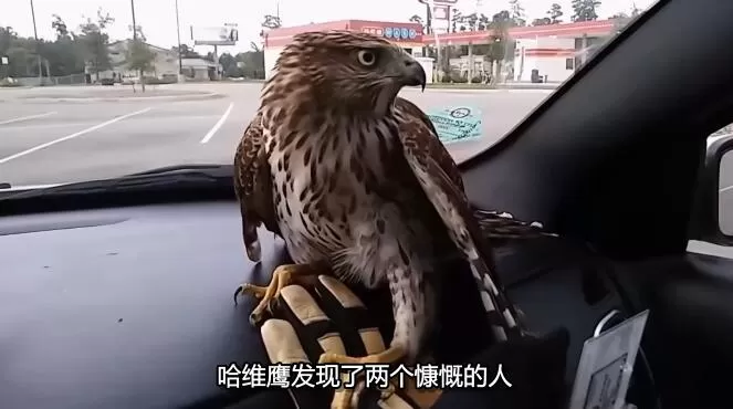 QQ截图20250112200024.jpg