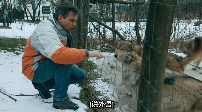 QQ截图20250112200202.jpg