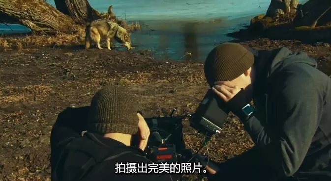 QQ截图20250112200237.jpg