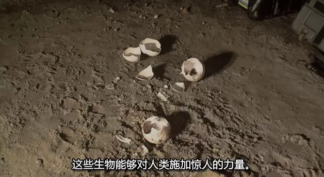 QQ截图20250112200437.jpg