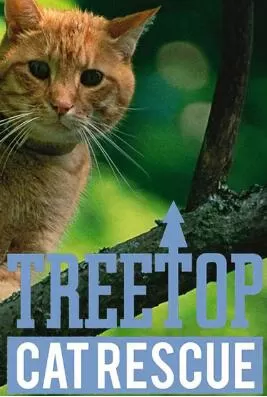 Discovery纪录片[猫咪救援行动 Treetop Cat Rescue]第一季共10集 英语中字1080P下载