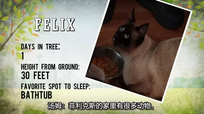 QQ截图20250112200530.jpg
