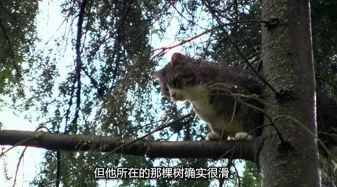 QQ截图20250112200538.jpg