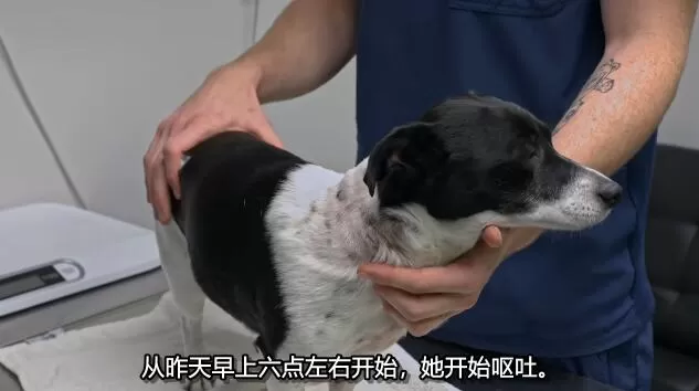 QQ截图20250114190902.jpg