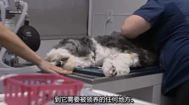 QQ截图20250114191005.jpg