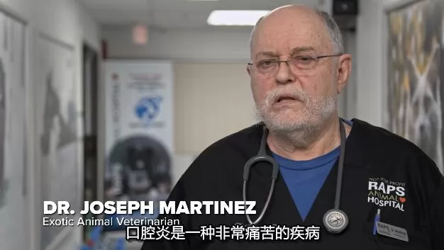 QQ截图20250114190940.jpg