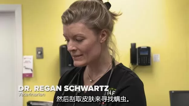 QQ截图20250114191049.jpg