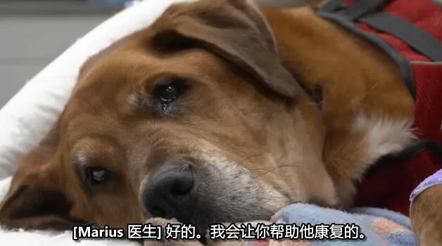 QQ截图20250114191106.jpg