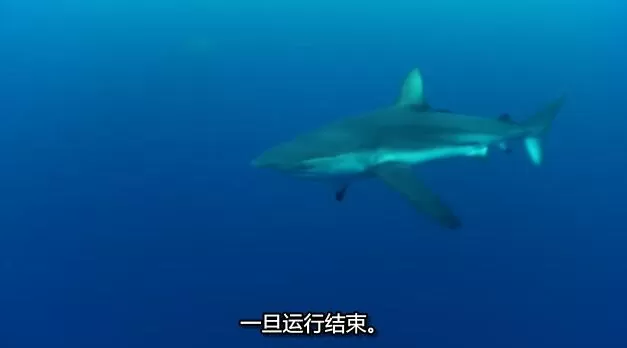 QQ截图20250114191201.jpg