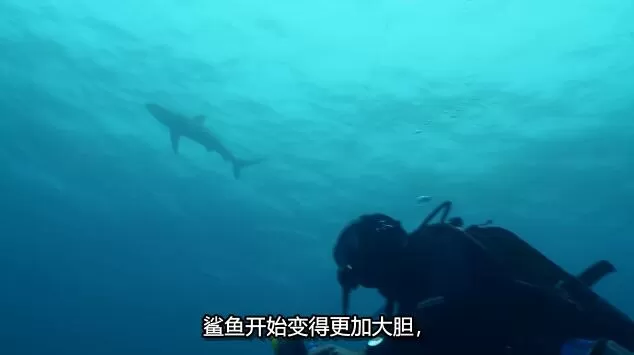 QQ截图20250114191320.jpg