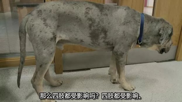 QQ截图20250114191345.jpg