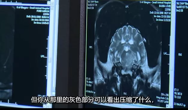 QQ截图20250114191357.jpg