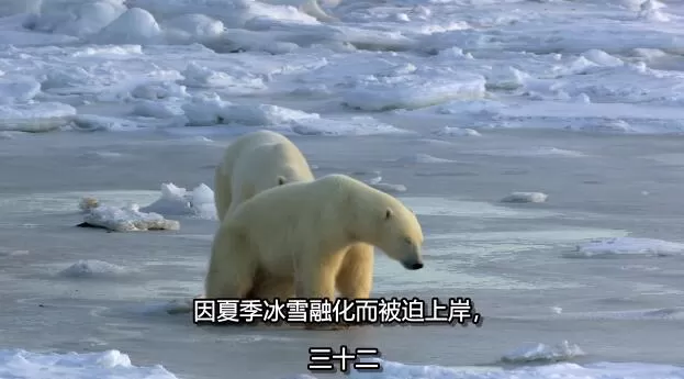 QQ截图20250114191512.jpg