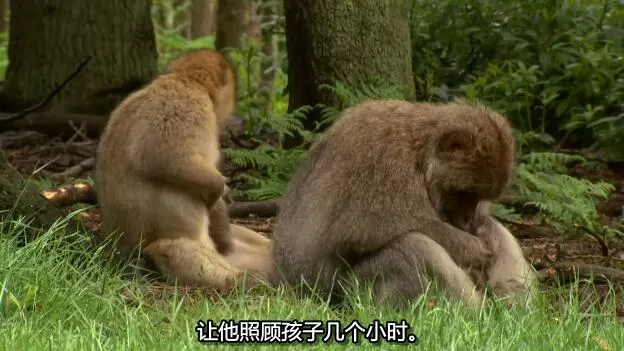 QQ截图20250114191650.jpg