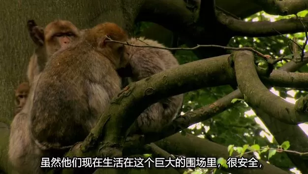QQ截图20250114191750.jpg