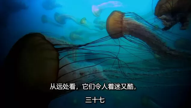 QQ截图20250115191220.jpg