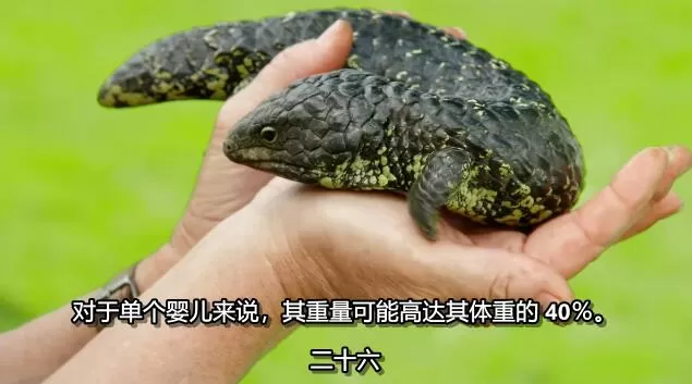 QQ截图20250115191327.jpg