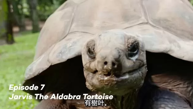 QQ截图20250115191404.jpg