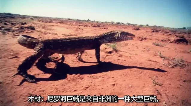 QQ截图20250115191706.jpg