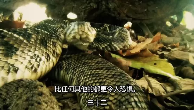 QQ截图20250115191555.jpg
