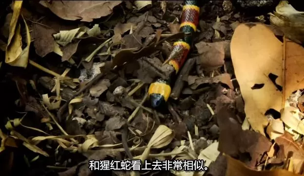 QQ截图20250115191633.jpg