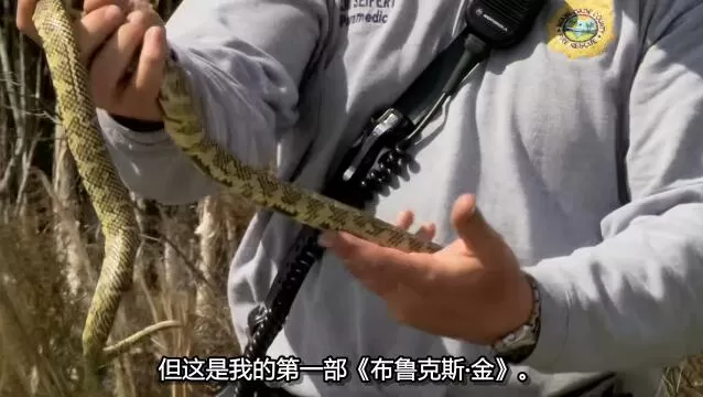 QQ截图20250115191608.jpg