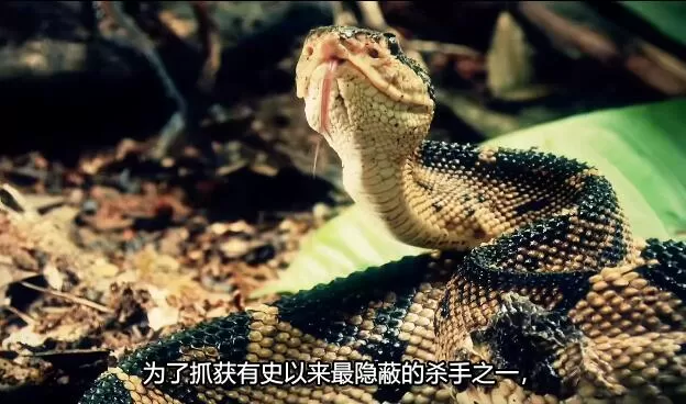 QQ截图20250115191754.jpg