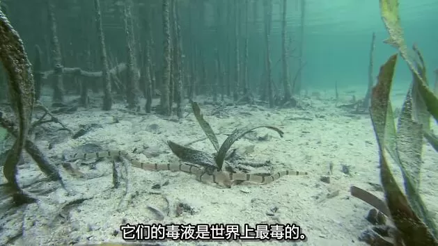 QQ截图20250115191823.jpg