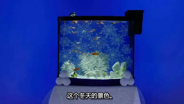 QQ截图20250116200801.jpg