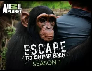 Discovery纪录片[逃往黑猩猩伊甸园 Escape to Chimp Eden]第一季共12集 英语中字1080P下载