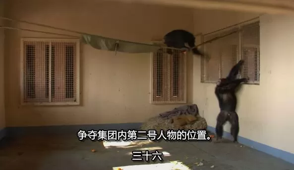 QQ截图20250116200835.jpg