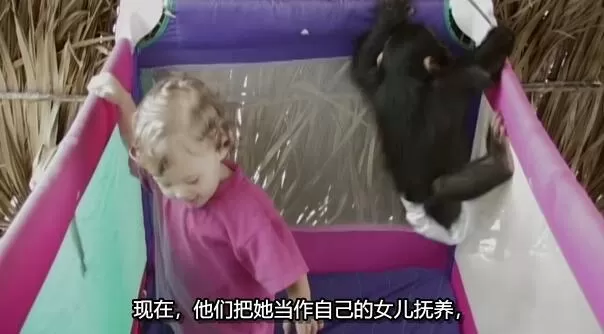 QQ截图20250116200946.jpg