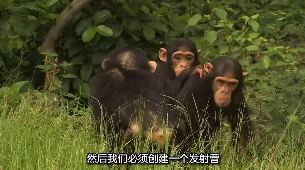 QQ截图20250116201103.jpg