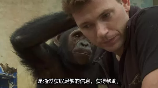 QQ截图20250116201217.jpg