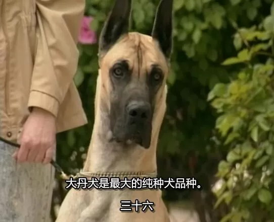 QQ截图20250117195736.jpg