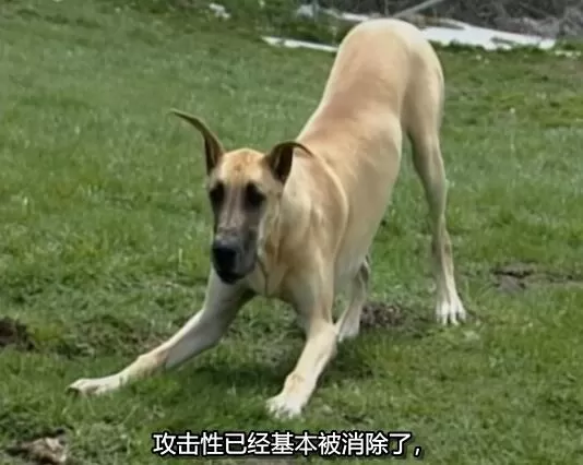 QQ截图20250117195819.jpg