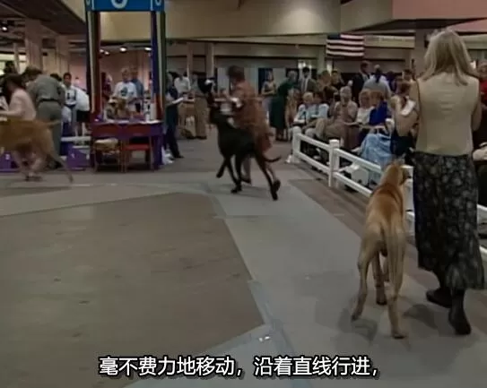 QQ截图20250117195845.jpg