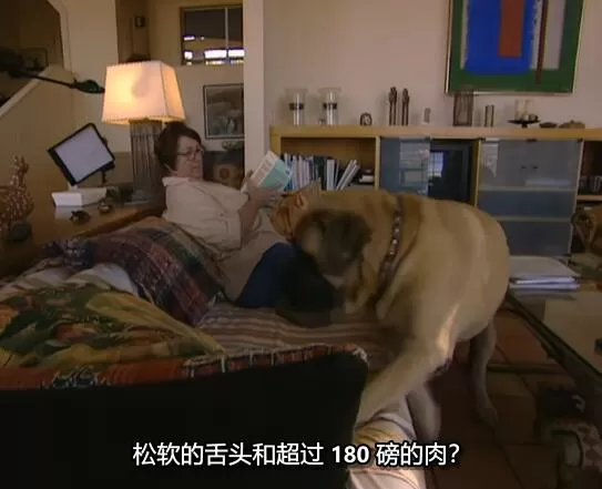 QQ截图20250117200040.jpg