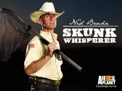 Discovery纪录片[内德・布鲁哈：臭鼬语者 Ned Bruha_ Skunk Whisperer]第一季共8集 英语中字1080P下载