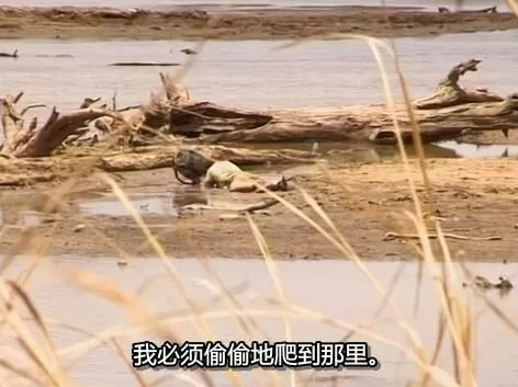 QQ截图20250117200348.jpg