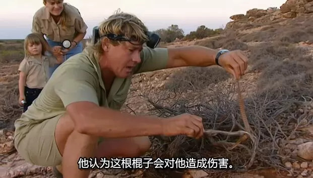 QQ截图20250117200431.jpg
