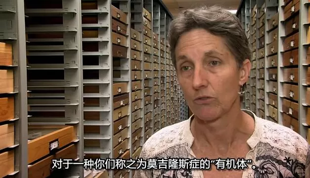 QQ截图20250117200631.jpg