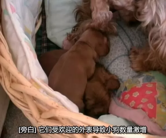QQ截图20250118192225.jpg