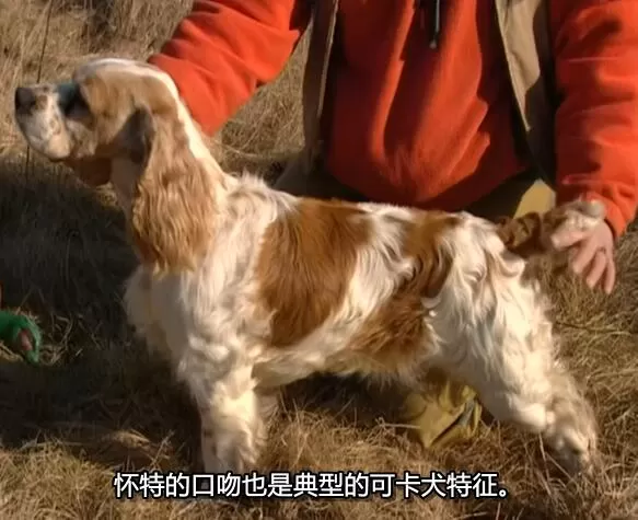 QQ截图20250118192237.jpg