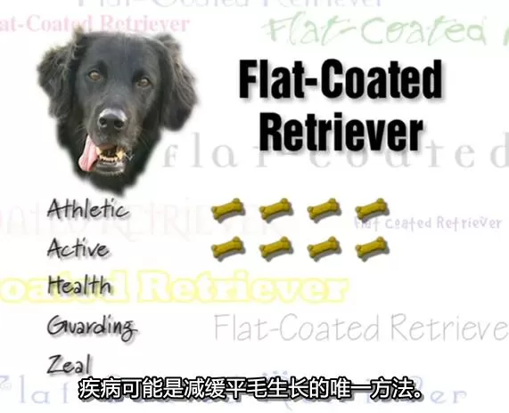 QQ截图20250118192442.jpg