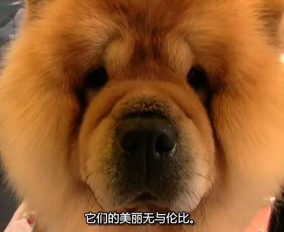 QQ截图20250118192536.jpg