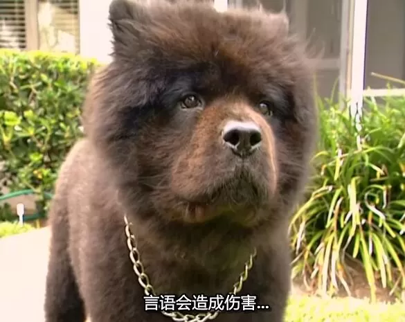 QQ截图20250118192548.jpg